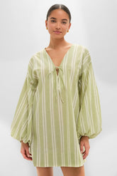 Faded Juniper Ombre Stripe Pia Mini Dress