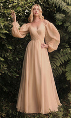 Ladivine Long Formal Dress cd243