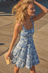 Blue Toile Mini Wells Dress