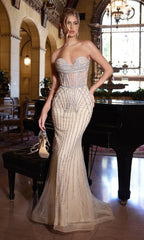Ladivine Long Formal Dress cd794