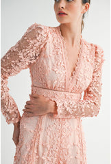 Cara Floral Embroidered A-Line Dress