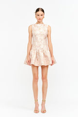 Macy Floral Jaquard Print Mini Fit 'N Flare - Pink/Gold